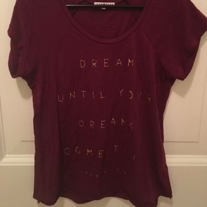 Steven Tyler Junk Food t-shirt "Dream On" 🎶🎶